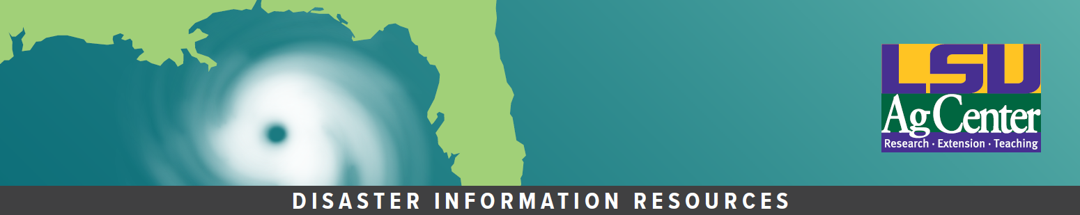 Decorative web banner with an illustration of a hurricane and type that says, "Disaster Information Resources."